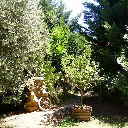 Podere Belvedere Cecinaチェチナ エクステリア 写真