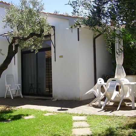 Podere Belvedere Cecinaチェチナ エクステリア 写真