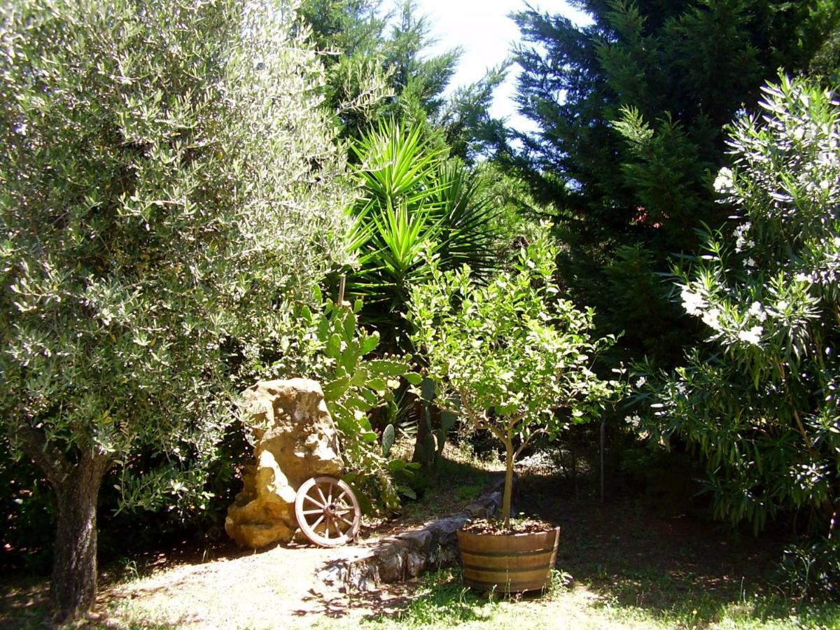 Podere Belvedere Cecinaチェチナ エクステリア 写真