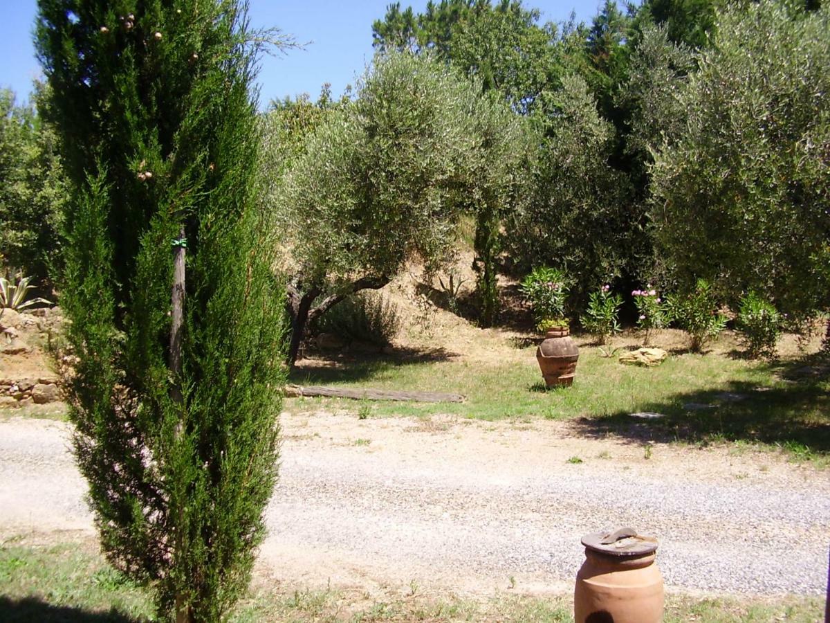 Podere Belvedere Cecinaチェチナ エクステリア 写真