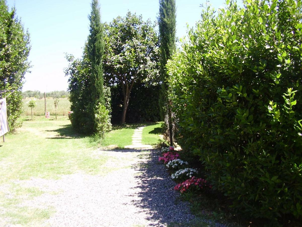 Podere Belvedere Cecinaチェチナ エクステリア 写真